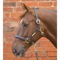 William Hunter Equestrian Hy Leather Head Collar - cob - black