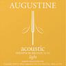 Augustine Acoustic Light 12.53