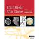 Brain Repair After Stroke (Hardcover)
