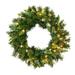 Vickerman 05515 - 24" Imperial Wreath 50CL Dura-Lit (A877325) 24 Inch Christmas Wreath