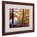 Trademark Fine Art "A Secret Pond" by Kurt Shaffer Matted Framed Photographic Print Canvas in Brown/Green | 16 H x 20 W x 0.5 D in | Wayfair