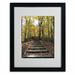 Trademark Fine Art "Fall Stairway 2" by Kurt Shaffer Matted Framed Photographic Print Canvas in Brown/Green | 20 H x 16 W x 0.5 D in | Wayfair