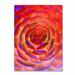 Trademark Fine Art 'Plant Art' by Patty Tuggle Graphic art on Canvas Metal in Red | 32 H x 22 W x 2 D in | Wayfair PT0119-C2232GG