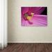 Trademark Fine Art 'Inside a Pink Hibiscus' by Kurt Shaffer Framed Photographic Print on Wrapped Canvas in White | 30 H x 47 W x 2 D in | Wayfair