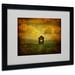 Trademark Fine Art "Field of Dandelions" by Lois Bryan Matted Framed Photographic Print Canvas in Brown | 16 H x 20 W x 0.5 D in | Wayfair