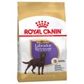 2x12kg Labrador Retriever Adult Sterilised Royal Canin - Croquettes pour Chien