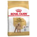 7,5kg Caniche Adult Royal Canin - Croquettes pour chien