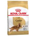 2x12kg Cocker Adult Royal Canin - Croquettes pour chien