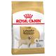 2x12kg Labrador Retriever Adult Royal Canin - Croquettes pour chien