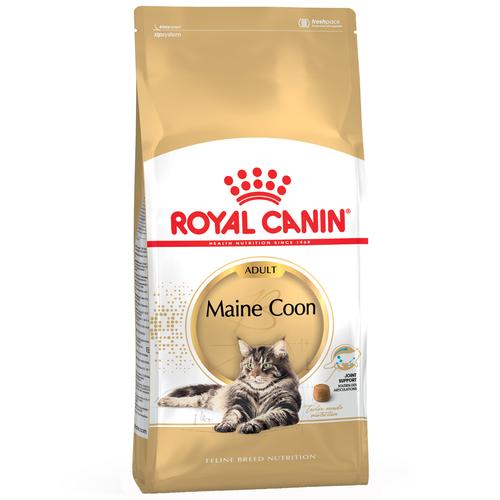 10kg Maine Coon Adult Royal Canin Breed Katzenfutter trocken