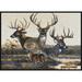 Gray Rectangle 2'8" x 3'10" Area Rug - Milliken Realtree Team Realtree Bucks VI Indoor Door Mat Metal | Wayfair 4000052926