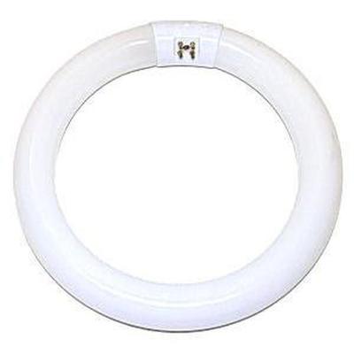 Satco 06500 - FC8T9/CW/RS S6500 Circular T9 Fluorescent Tube Light Bulb