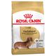 1.5kg Dachshund Royal Canin Adult Dry Dog Food