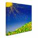 Trademark Fine Art "Sunny Field" by Roderick Stevens Graphic Art on Wrapped Canvas Canvas | 14 H x 14 W x 2 D in | Wayfair RS913-C1414GG
