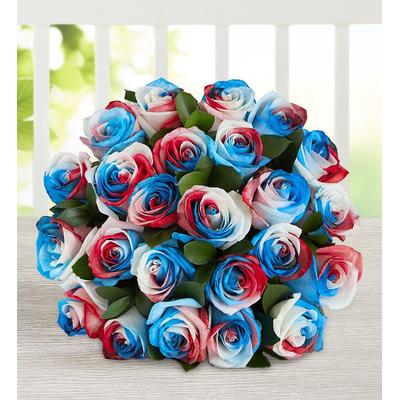 1-800-Flowers Flower Delivery Rainbow Roses - Red White & Blue 24 Stems, Bouquet Only