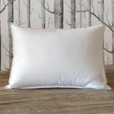 Eastern Accents Loure Down Firm Support Pillow Down Alternative/100% Cotton | 20 H x 27 W in | Wayfair DM-BPC-ST05