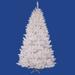 Vickerman 18438 - 12' x 72" Sparkle White Spruce 1,250 Pure White Italian LED Lights Christmas Tree (A104191LED)