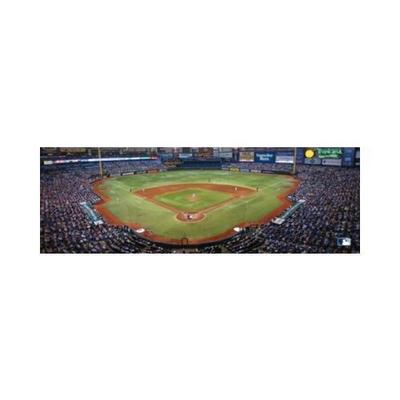 MasterPieces Tampa Bay Rays - 1000pc Panoramic Jigsaw Puzzle