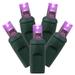 Vickerman 31685 - 100 Light 34' Green Wire Purple Wide Angle LED Lights with 4" Spacing (X4G6106)