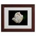 Trademark Fine Art "White Parrot Tulip" by Kurt Shaffer Framed Photographic Print Canvas | 11 H x 14 W x 0.5 D in | Wayfair KS545-W1114MF