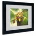 Trademark Fine Art 'Coconut Palm II' by Victor Giton Framed Painting Print Canvas in Green | 11 H x 14 W x 0.5 D in | Wayfair MA0437-B1114MF