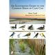 An Illustrated Guide to the Common Birds of Cape Cod (Paperback)