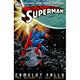 Superman: Camelot Falls Vol. 2