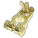 Nippon Battery Terminal Audiopipe Positive; Gold Plated 4.5in. x 3in. x 1in.