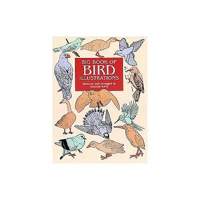 Big Book of Bird Illustrations by Maggie Kate (Paperback - Dover Pubns)