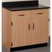 Stevens ID Systems Science 4 Compartments Classroom Cabinet Wood in Brown | 35 H x 36 W x 23 D in | Wayfair 81447 J36-058