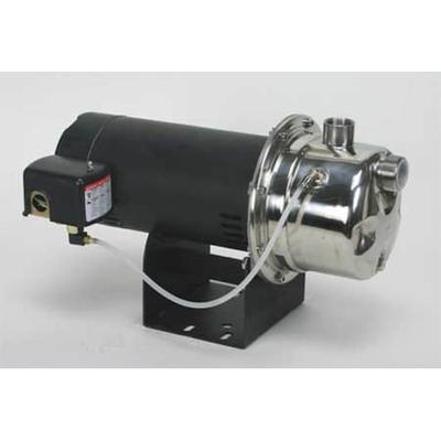 DAYTON 4HEZ1 Shallow Well Jet Pump, SS, 3/4 HP