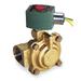 REDHAT 8220G410 120V AC Brass Steam and Hot Water Solenoid Valve, Normally