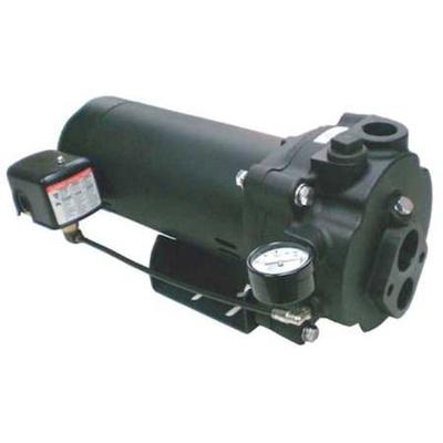 DAYTON 5UXK5 Convertible Jet Pump,CI,1HP,115/230V
