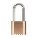 MASTER LOCK 176LH Combination Padlock,Bottom,Black/Silver