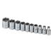 SK PROFESSIONAL TOOLS 4910 1/4" Drive Socket Set SAE 10 Pieces 3/16 in to 9/16