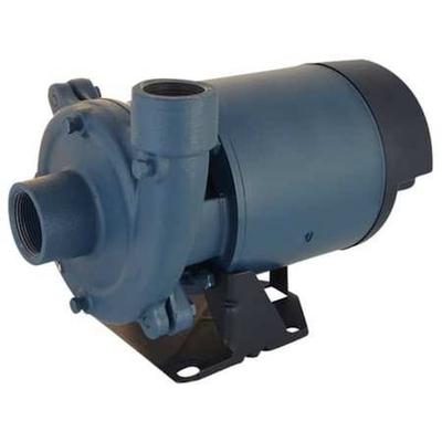 FLINT & WALLING CJ103101 Booster Pump, 1 hp, 230V AC, 1 Phase, 1-1/2 in NPT