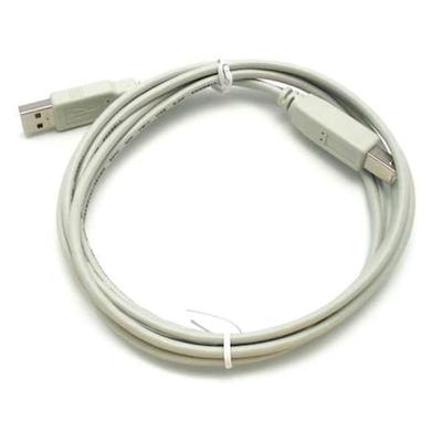 BRADY M-USB-103788 Printer Cable,6 ft. L
