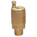 WATTS FV-4M1- 1 Automatic Air Vent Valve,1 In,Brass