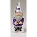 Team Sports America NCAA Garden Gnome Hanging Figurine Ornament Plastic | 11.5 H x 5 W x 4.72 D in | Wayfair 3HO054