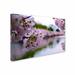 Trademark Fine Art "Cherry Blossoms 2014-2" by CATeyes Photographic Print on Wrapped Canvas Metal in Red | 22 H x 32 W x 2 D in | Wayfair