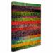 Trademark Fine Art "Brocade & Fifteen Stripes 1" by Michelle Calkins Graphic Art on Wrapped Canvas in White/Black | 47 H x 35 W x 2 D in | Wayfair