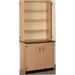 Stevens ID Systems Science 6 Compartments Classroom Cabinet 2 Door Wood in Gray/Brown | 84 H x 36 W x 23 D in | Wayfair 84200 K84 21-055-10