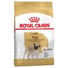 3kg Pug Royal Canin Dry Dog Food