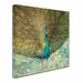 Trademark Fine Art "Teal Peacock on Gold" by Danhui Nai Painting Print on Wrapped Canvas in Black | 35 H x 35 W x 2 D in | Wayfair WAP0061-C3535GG