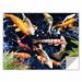 ArtWall Koi by George Zucconi Removable Wall Decal in White | 36 H x 48 W in | Wayfair 0zuc005a3648p