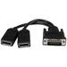 StarTech DMSDPDP1 8in LFH 59 Male to Dual Female DisplayPort DMS 59 Cable - DMS-59 to Dual DisplayPort Cable Adapter - DMS to 2 x DP Y Cable