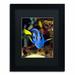 Trademark Fine Art 'Parrot Fish' by Kurt Shaffer Framed Photographic Print Canvas | 14 H x 11 W x 0.5 D in | Wayfair KS111-B1114BMF