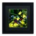 Trademark Fine Art 'Doris Longwing Butterfly on Orchid' by Kurt Shaffer Framed Photographic Print Canvas | 11 H x 11 W x 0.5 D in | Wayfair