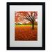 Trademark Fine Art 'Autumn Expressions' by CATeyes Framed Photographic Print Canvas | 20 H x 16 W x 0.5 D in | Wayfair MZ0287-B1620MF