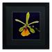 Trademark Fine Art 'Orchid #1' by Kurt Shaffer Framed Photographic Print Canvas | 16 H x 16 W x 0.5 D in | Wayfair KS109-B1616BMF